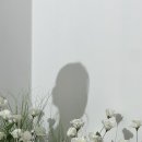 스튜디오선심 이미지