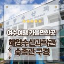 여수여행 가볼만한곳 전라남도 해양수산과학관 완벽한 수족관 관람후기