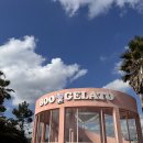 [제주]🌴 부 젤라또(Boo Gelato) 방문 후기｜뷰·사진·애견운동장까지 완벽