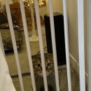 부산고양이미용&호텔 냥스타그램 이미지