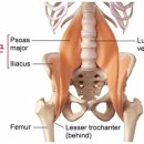 SNPE 바른자세 척추운동 이미지