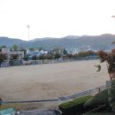 용문체육공원 티스토리