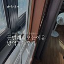 나래약국 | 돈벌레나오는이유 모르고 약만 뿌리다가 결국 방역 부른 후기