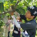 이광태농가 이미지