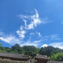 콩마니손두부 이미지