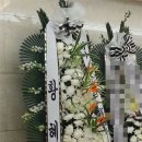 투투 이미지