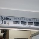 앨리컴퍼니 네이버블로그