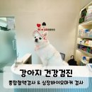 BK심장동물병원 | 왕십리 동물병원 강아지 건강검진 심장바이오마커 BK심장동물병원