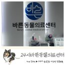 바른마음동물병원 | 대구24시동물병원 추천•대구24시바른동물의료센터