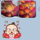 금봉 농장 이미지