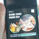 동막역 3번출구 | 인천 송도 놀거리 파충류 페스티벌 주말 아이와 가볼만한곳