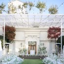 아띠홀 | [W#26] 대구 웨딩메르디앙 아토아띠홀 본식 후기 | 25년 11월 야외예식 날씨, 분위기 장단점 솔직리뷰