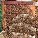 상내농장 이미지