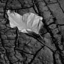 아름다운여행 이미지