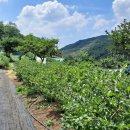 능성동농장 이미지