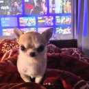 연우미담 | 10月、난 🖕을 날리고 🧱과 부딪혀💥