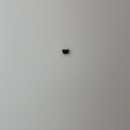 카페로와 이미지