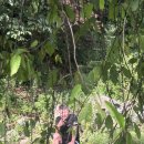 용문산그린펜션 이미지