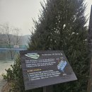 CU아라뱃길귤현점 | 인천근교가볼만한곳 : 아라마루 전망대 주차장 팁 : 직접 가본 후기