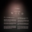 [트렌드 LAB] 까르띠에 《인투 더 와일드》 전시 방문 후기 | 앤더슨씨 성수(6/19)