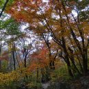 백무동주차장 이미지