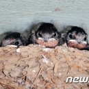 금지농약사 이미지