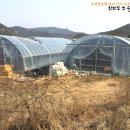 반암농장 이미지