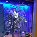 파랑새휘트니스 이미지