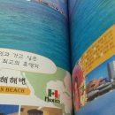 베스트플랜트래블