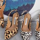 케이제이마켓 이미지