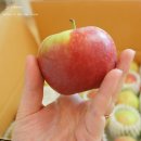 와룡농원 이미지