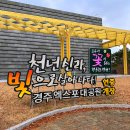 앉아서 떠나는 건축과 미술 여행 | 경주 겨울 여행 코스 가족여행 뚜벅이 여행지 엑스포 대공원 입장권 할인 주차 솔거미술관