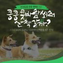 뷰티반려문화 이미지