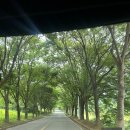 신안컨트리클럽 | 경기도 안성 골프장 ‘신안cc&#39; 후기 - 야간 그린피, 클럽하우스 시설, 캐디, 토마토/애플 코스