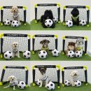 놀러오개 불로점 이미지