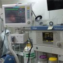 가디언 동물의료센터 이미지