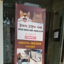 퍼펫 애견카페 이미지