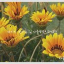 서울모담치과의원 이미지