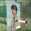 팜테니스