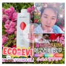 에코레비 울트라센시티브 500ml 건성 두피 스칼프 친환경 천연 샴푸 후기