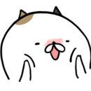 쿰쿰펫푸드 이미지