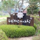 테라스의아침펜션 이미지