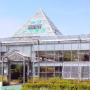 신길중학교 일원 | 안산 성호공원