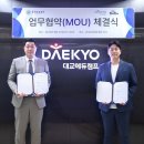 스테디