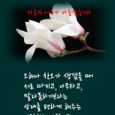 여유가 이미지