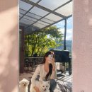 스테이 태정93 이미지