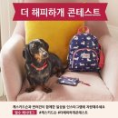해피하개 이미지