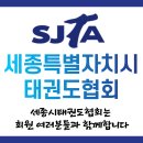 용인대한빛태권도 이미지