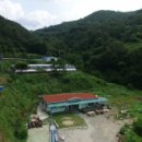 김순덕 농장 이미지