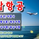 안산탑항공